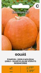 Pumpkin Golias Seeds